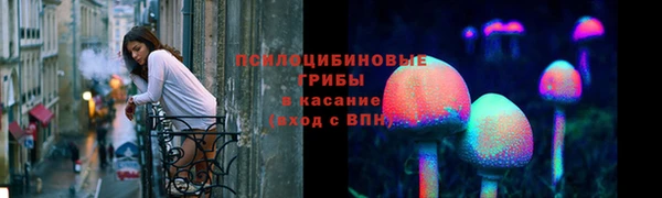 молекула духа Верея