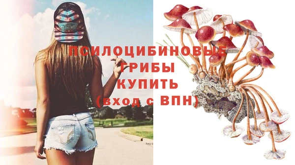 MESCALINE Верхний Тагил