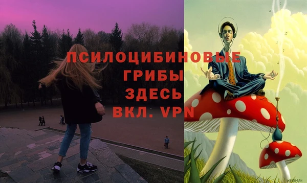 гашик Волосово