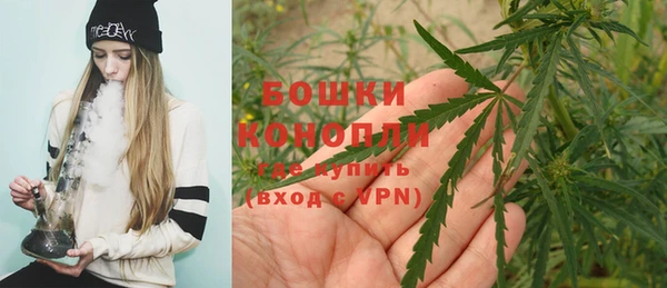 каннабис Бородино