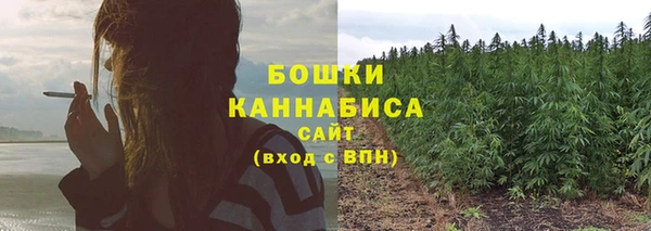 молекула духа Верея