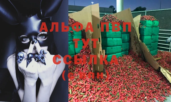 сатива Бронницы