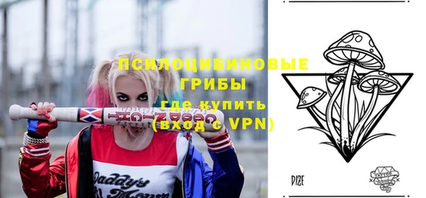 молекула духа Верея