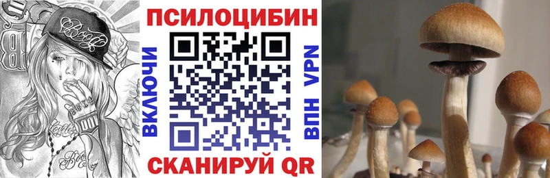 Галлюциногенные грибы ЛСД  KRAKEN маркетплейс  Канаш 